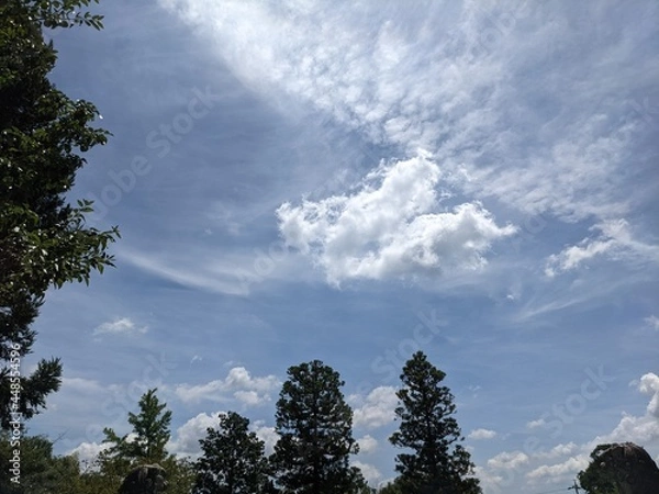 Obraz clouds in the sky