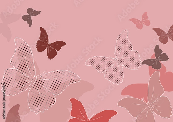 Fototapeta Butterflies