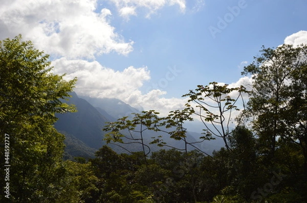 Fototapeta clouds and trees