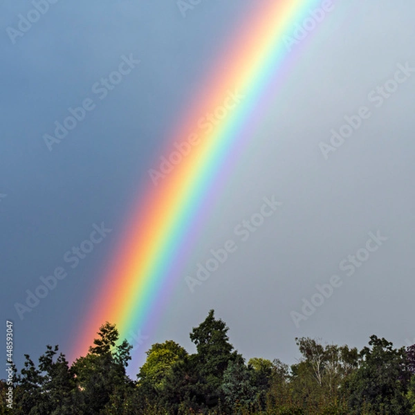 Fototapeta Rainbow, multicoloured circular arc, meteorological phenomenon caused by reflection, refraction and dispersion of light in water droplets