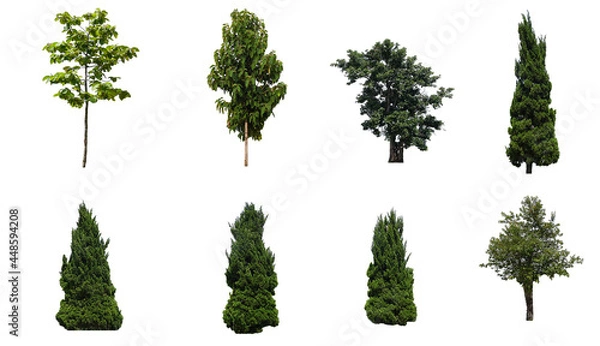 Fototapeta set of green trees