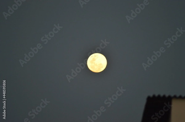 Obraz moon in the night