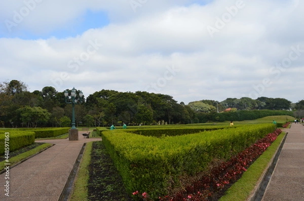 Obraz view of the garden