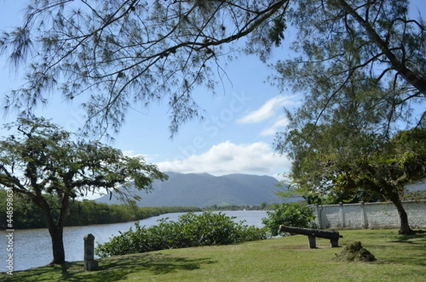 Obraz landscape with trees