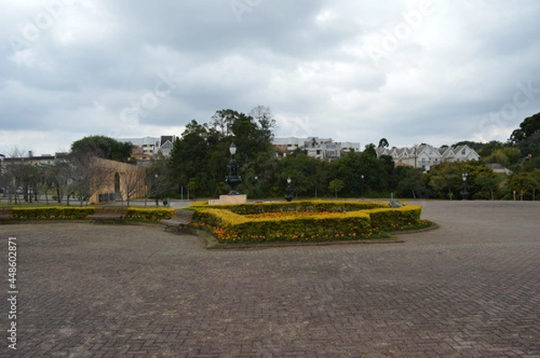 Obraz flowers in the park