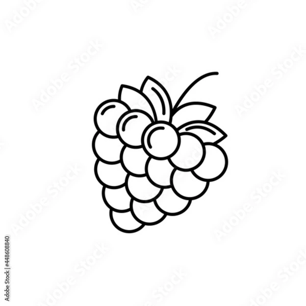 Obraz Badge  blackberry. Vector image, eps