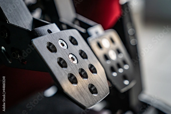 Obraz Rennsimulator Redalen 