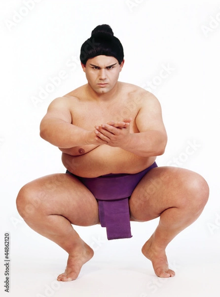 Obraz Sumo