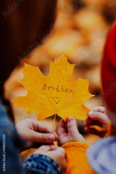 Obraz autumn leaves on the hand