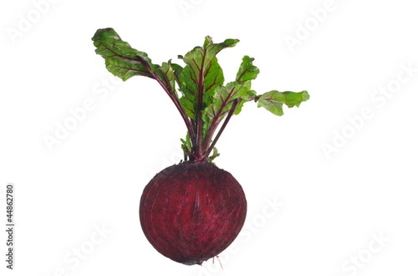 Fototapeta growing red beetroot
