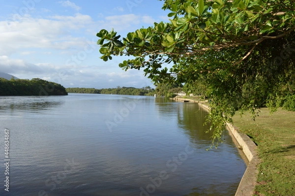 Obraz the river in the forest