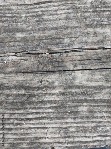 Obraz old wood texture