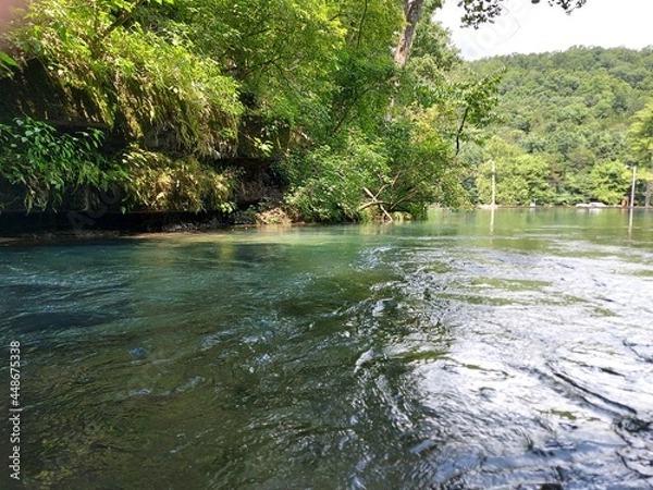 Obraz river in the forest