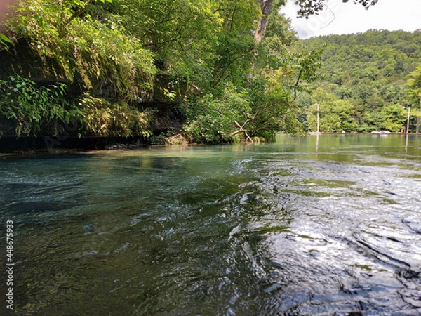 Obraz river in the forest