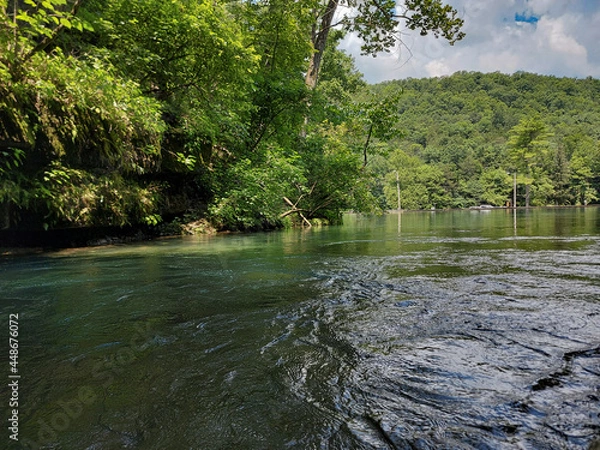 Obraz river in the forest