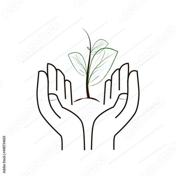 Obraz hands holding a green plant