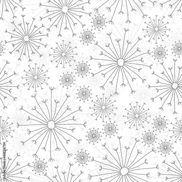 Obraz dmuchawce na białym tle