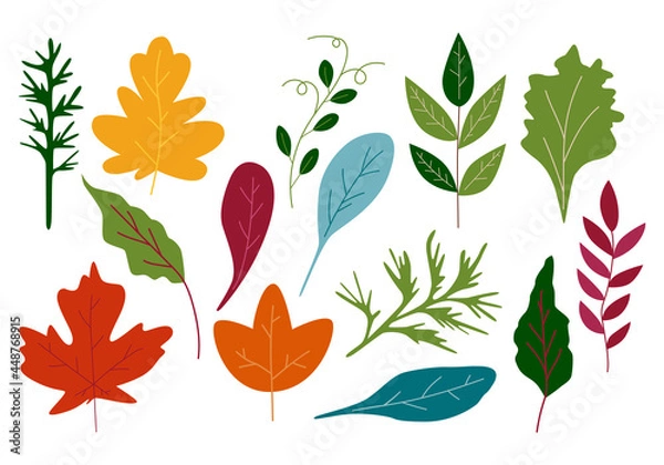 Fototapeta Vector clipart of different autumn twigs and leaves. Hand-drawn in a cartoon style
