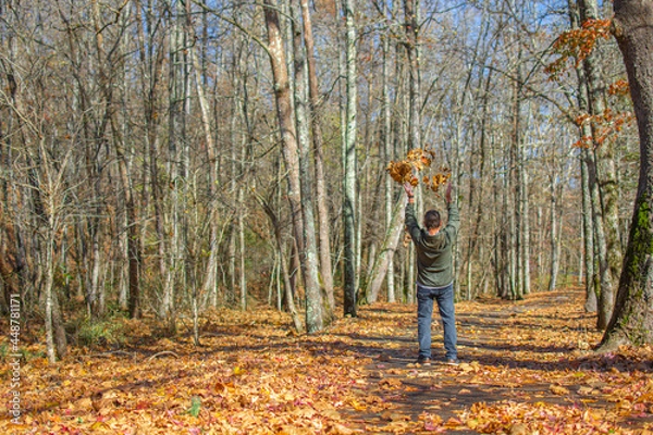 Obraz Man playing in the woods