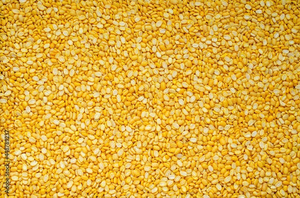 Obraz Group of dry organic split peeled mung bean background, ready for healthy or sweet food ingredient