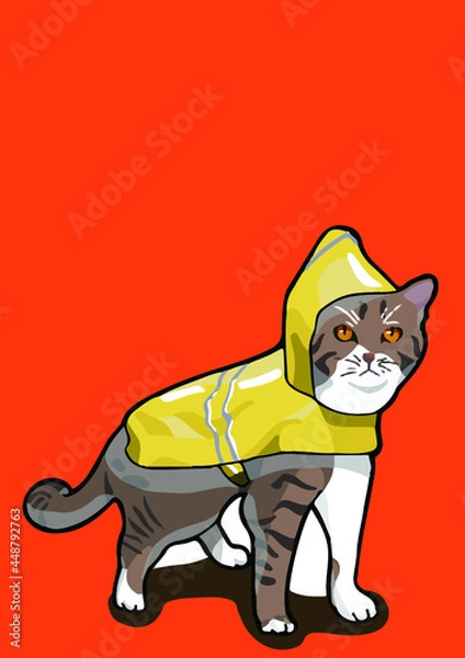 Obraz cat with background ()
by cat say meow