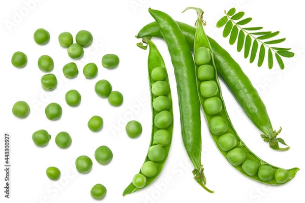 Fototapeta Fresh green pea pods with green peas isolated on white background. clipping path. top view