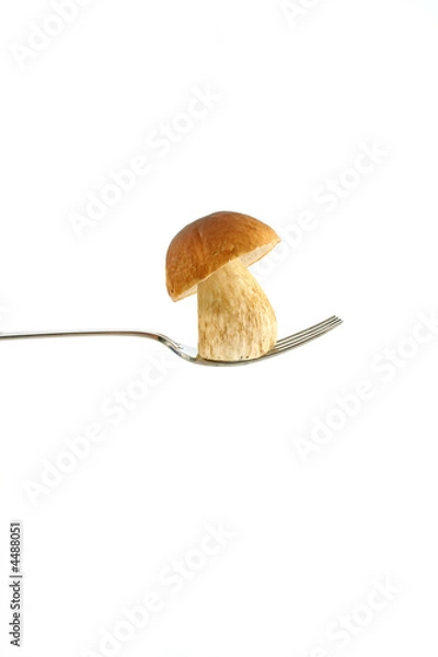 Fototapeta little mushroom on fork
