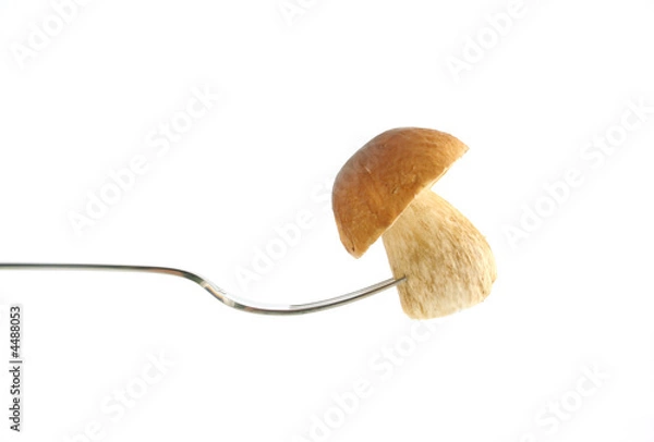 Obraz tasty mushroom on fork