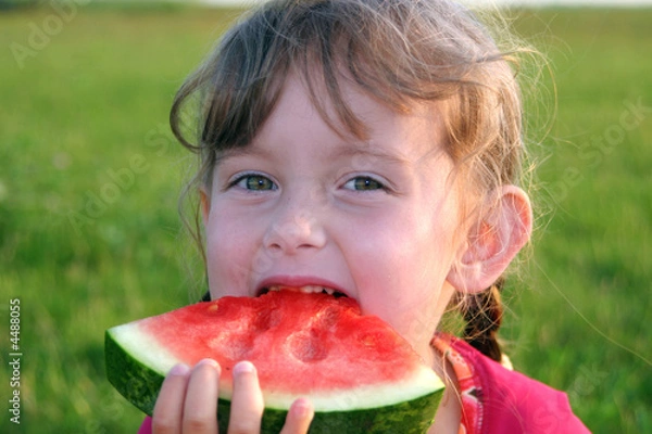 Obraz Savoring Summer