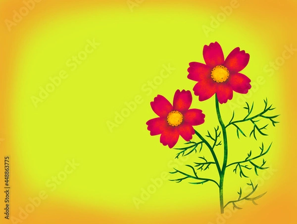 Obraz 黄色い背景と秋桜