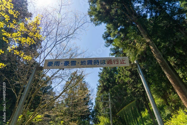 Fototapeta 東京都八王子市の陣馬山で登山をする風景 Scenery of climbing Mount Jinma in Hachioji City, Tokyo.