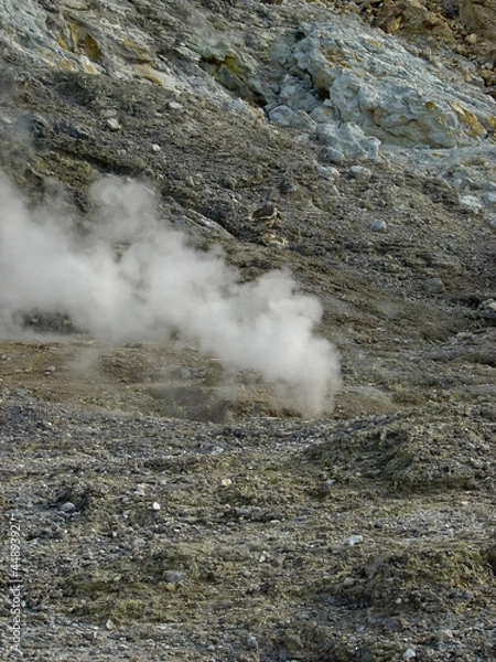 Obraz Geyser - Solfatara