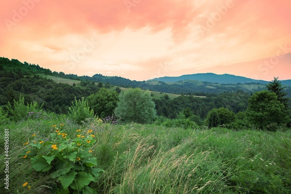 Fototapeta View of the slopes of mountains during sunset in summer