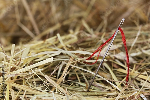 Obraz Nadel im Heu
