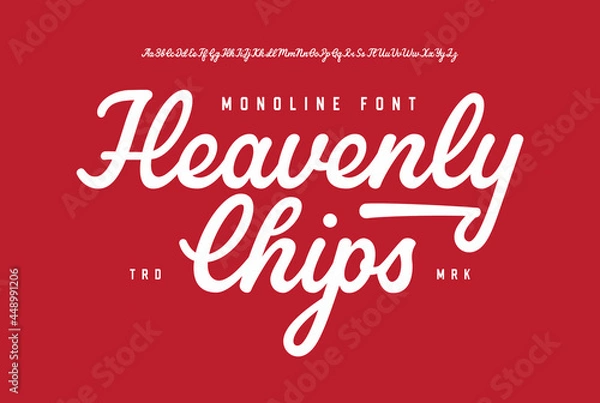 Fototapeta Heavenly Chips. Original Monoline Script Font. Vector Illustration.