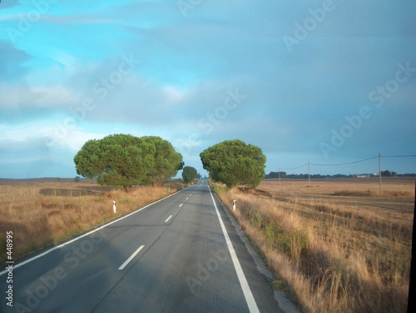 Obraz on the road again