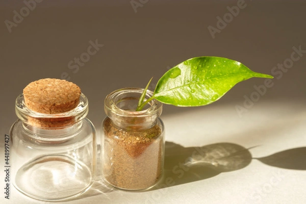 Fototapeta small glass jar with a cork and leaf on white background