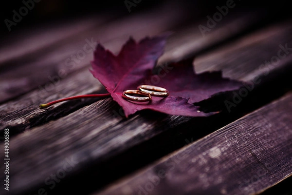 Obraz autumn leaf with wedding rings
