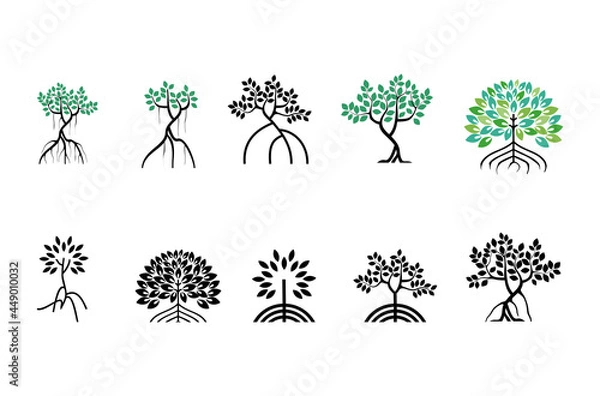 Obraz Various of mangroves tree, mangrove icon vector collections