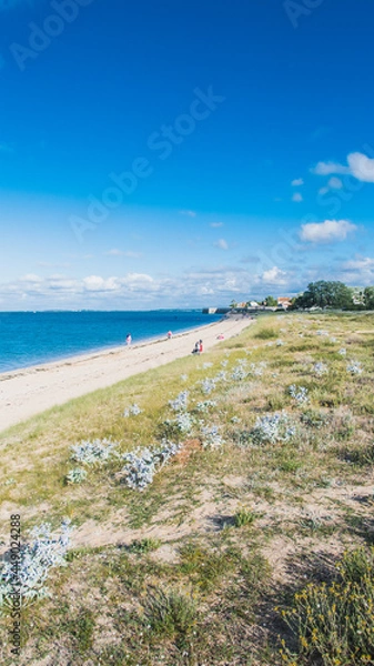 Fototapeta the beach of La Phibie on the island of Oléron, in France