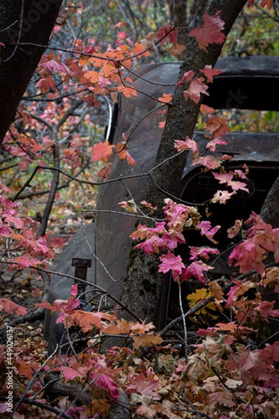 Fototapeta Old Relic in the Woods