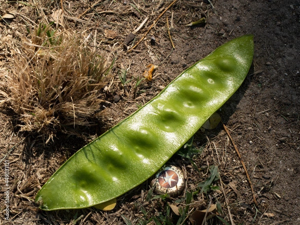 Obraz trash in nature 