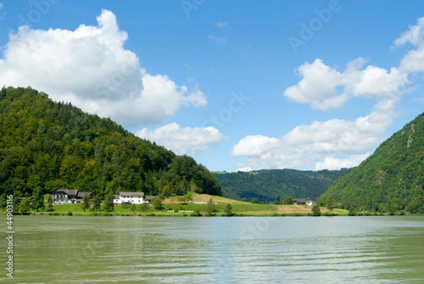 Fototapeta View of the Danube in the Schloegener Schlinge