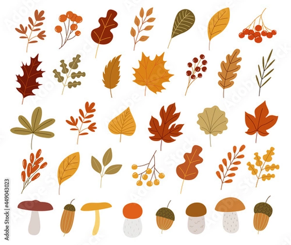 Obraz Colorful autumn set of leaves, mashrooms and acorns. Vector illustration clipart
