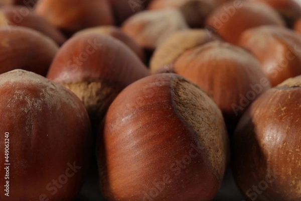 Obraz hazelnuts