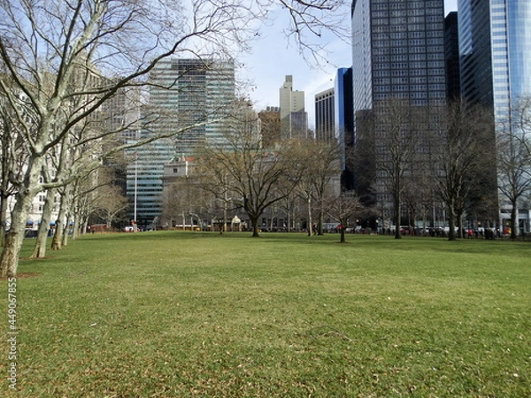 Obraz central park city