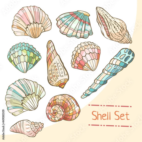 Obraz Shell set isolated on white background. Vector illustration