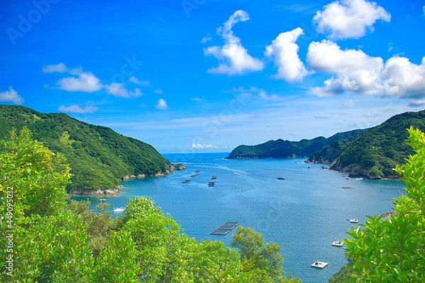 Fototapeta 青空と透き通る入り江