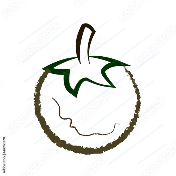 Fototapeta fresh tomatoes