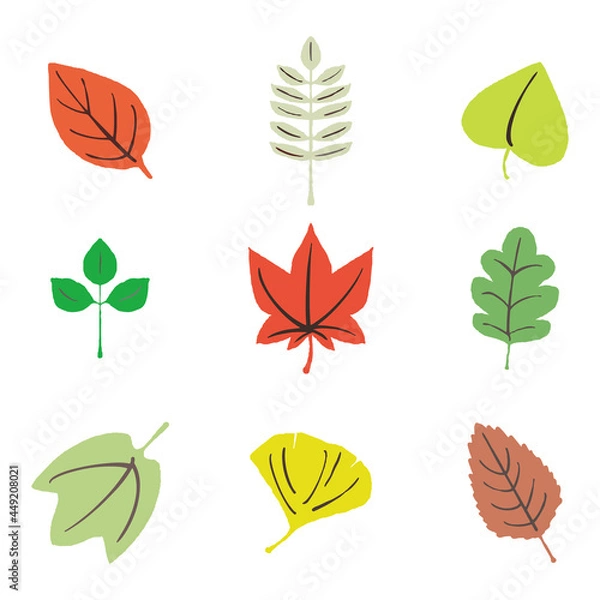 Obraz 複数の落ち葉